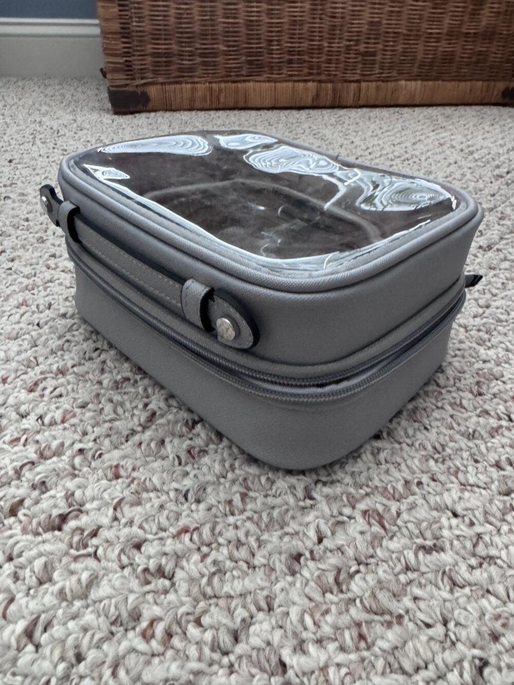 CALPAK Small Clear Cosmetics Case